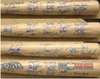 bats